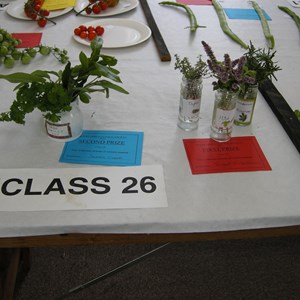Woore Victory Hall Produce Show