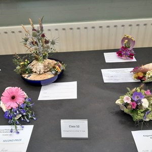 Kingswood Walton & Tadworth Horticultural Society Shows