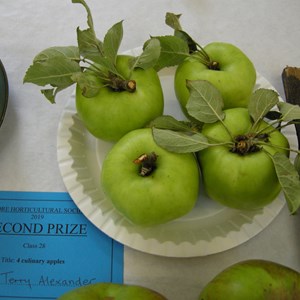 Woore Victory Hall Produce Show