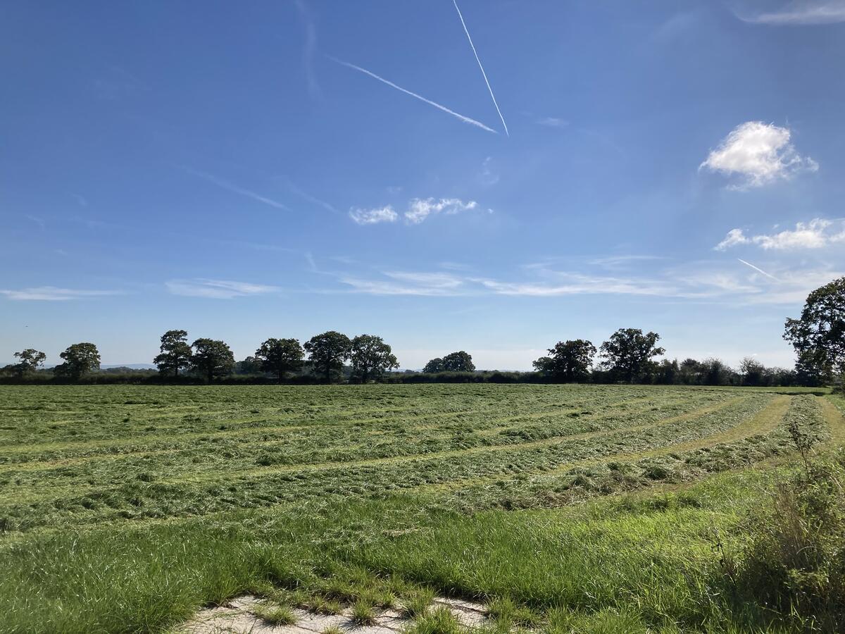 Wardle Parish Council Home Wardle Parish Council Home