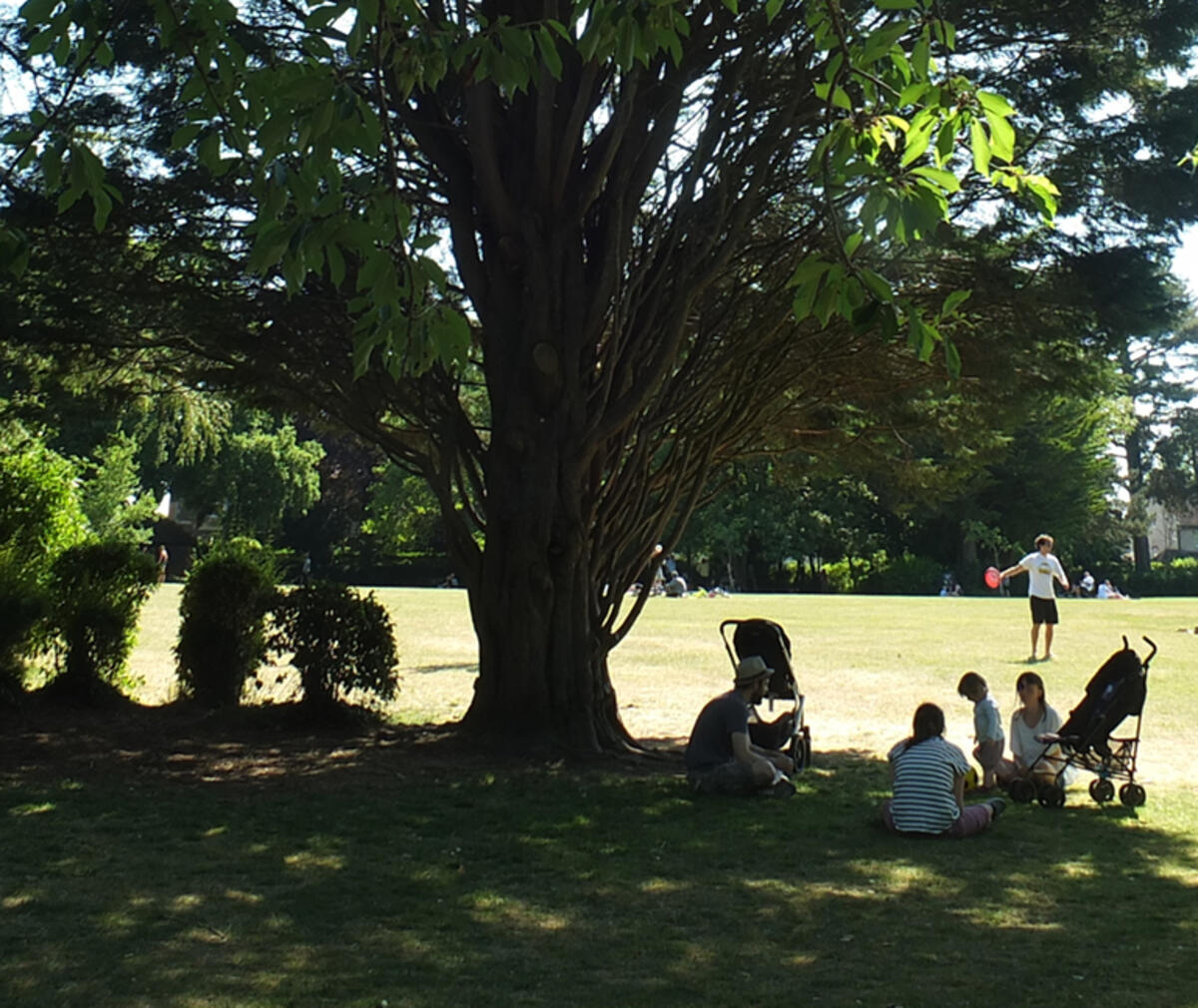 Shed meetings Monday and Thursday mornings 11am Victoria Park Shed meetings Monday and Thursday mornings 11am Victoria Park