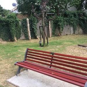 Marie Vyse Memorial Bench and Tree