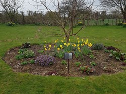 Central flower bed in new section (Section 4)