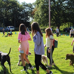Bleasby Community Website Bleasby Dog Show 2019