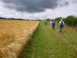 Luddesdown & District Rights of Way Group Walking in Luddesdown