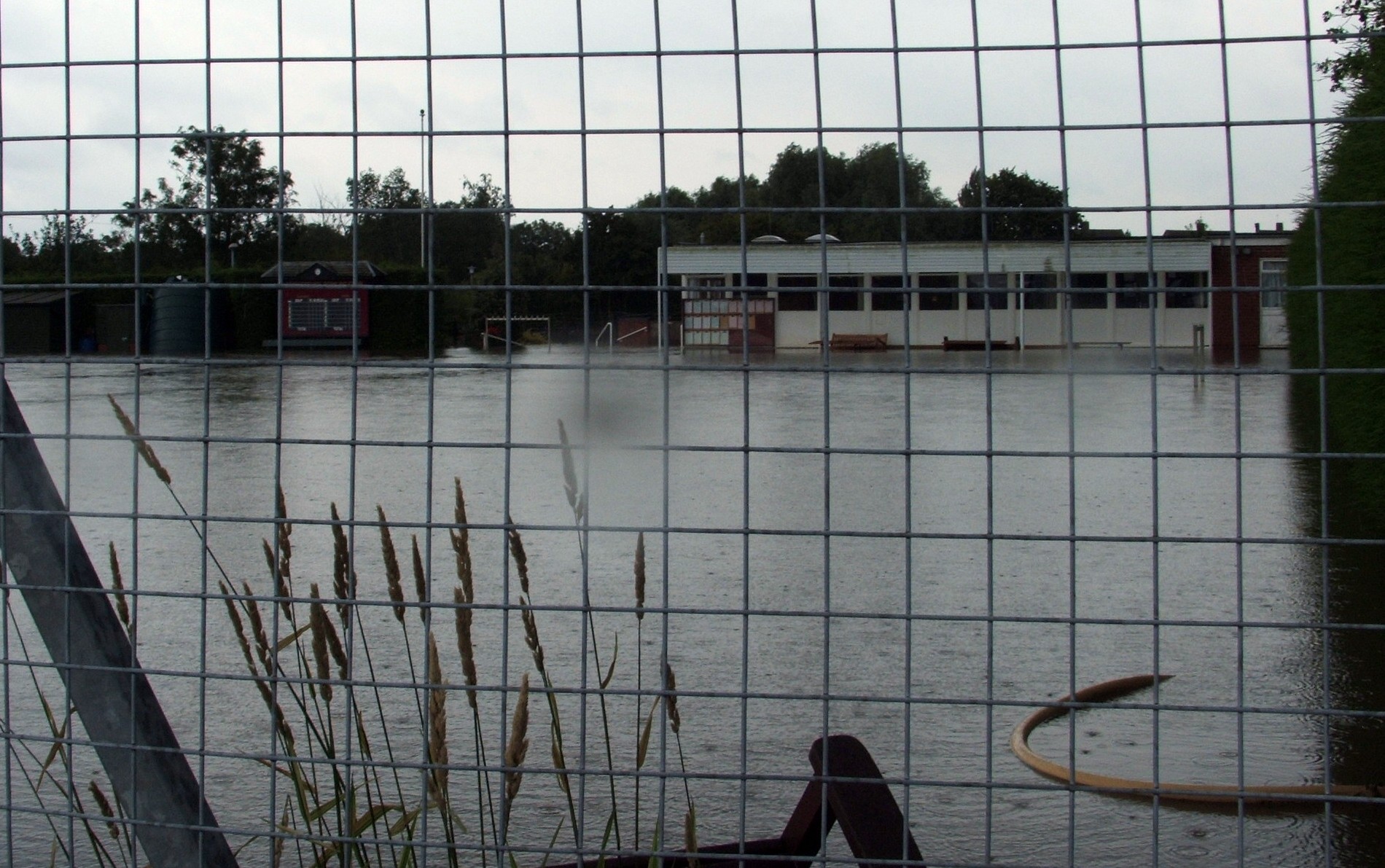 Green three feet under water. Green three feet under water.