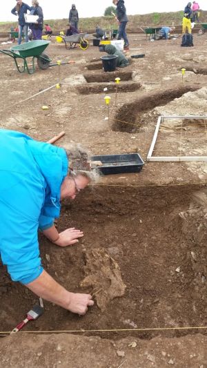 Teignmouth Probus Club Roman Excavations at Ipplepen