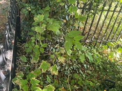 Barnoldby le Beck Parish Council Barnoldby le Beck Obelisk