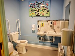 Melrose Community Association Gallery