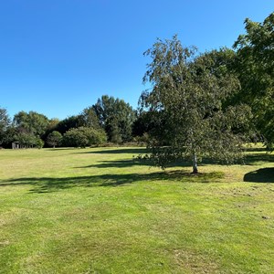Southons Field