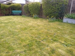 Hurstbourne Tarrant Parish Council Fields & Play Equipment