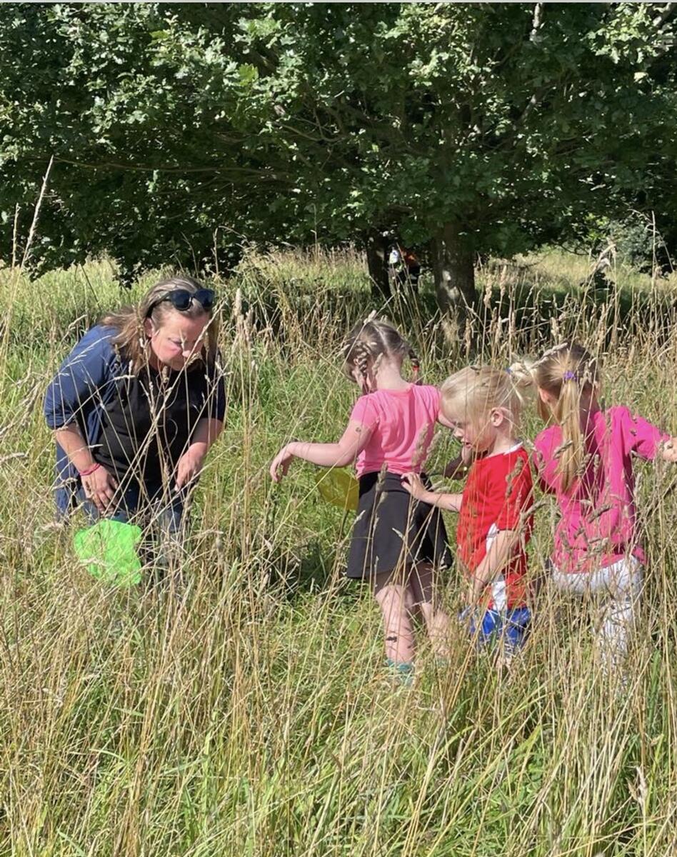 Bug hunt in the flower meadow