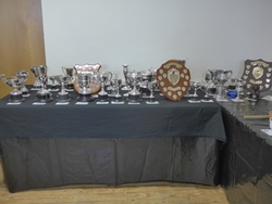 Show Cups