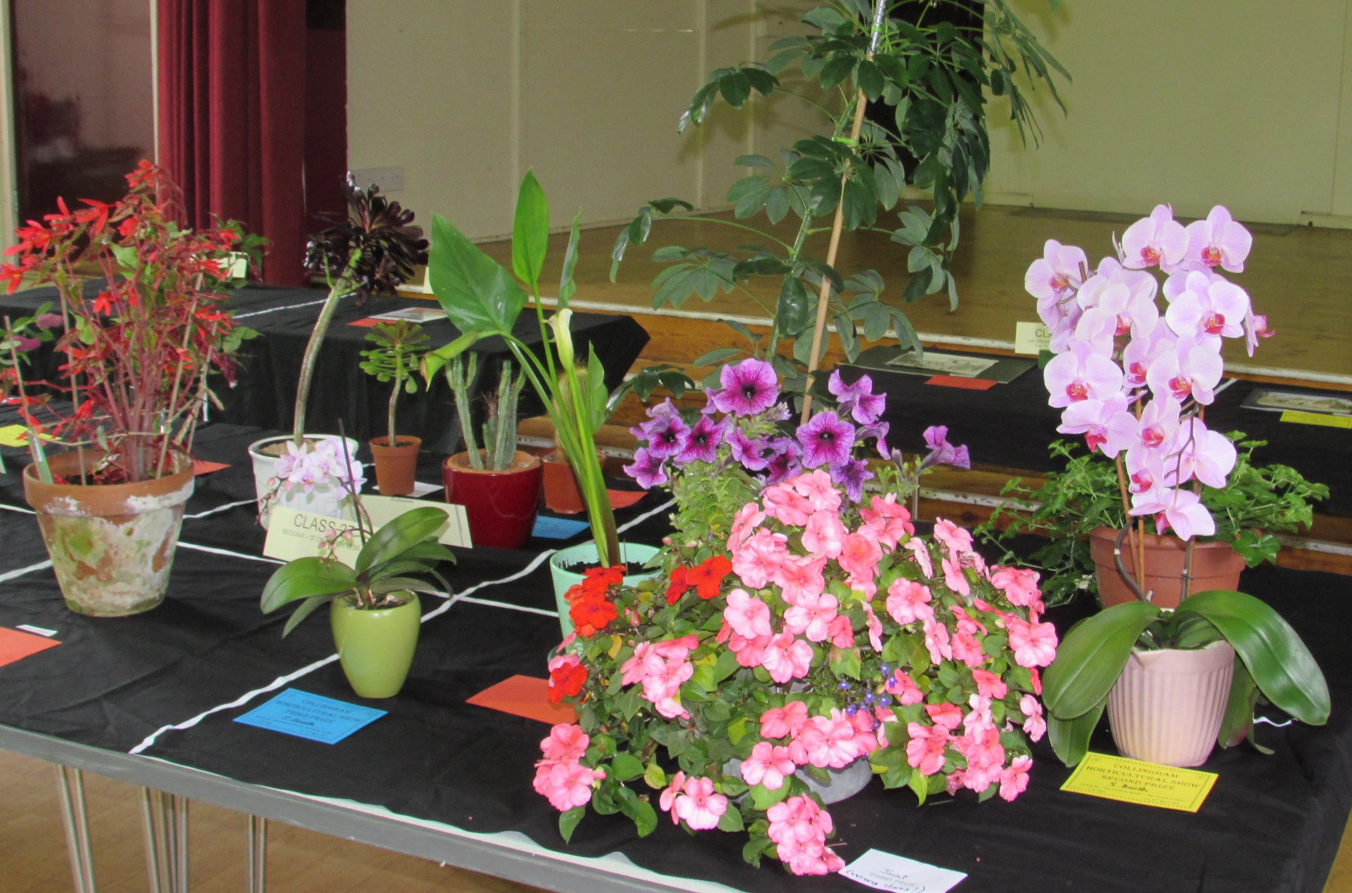 Collingham and District Gardening Association 2019 Horticultural Show