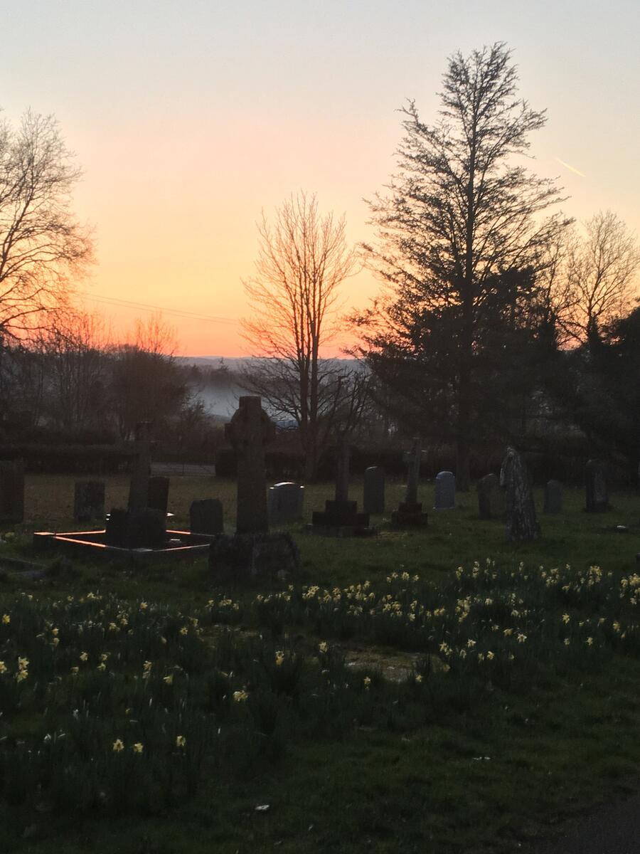 Sunset and Wild Daffodils in Cusop Churchyard