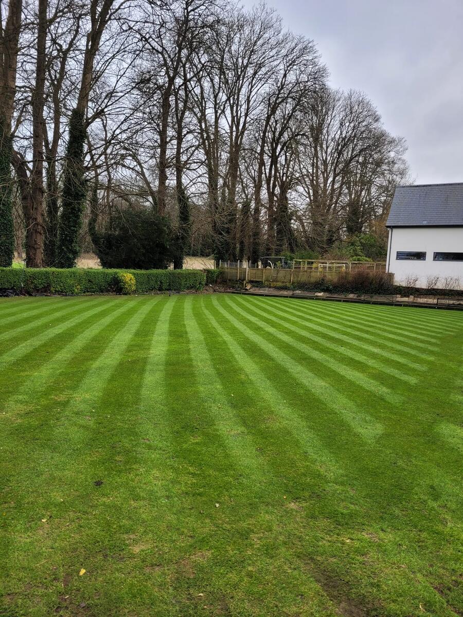 Our splendid 4 rink Green Our splendid 4 rink Green