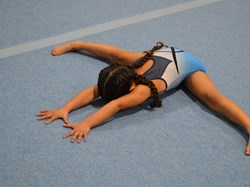 Lincoln City Gymnastics Club Recreational