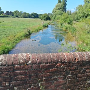 The Tichborne Brook at Ladycroft