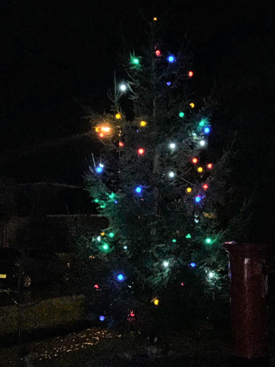 December 2019 - The Parish Council purchased a Christmas tree and festive lights for the centre of the Village.