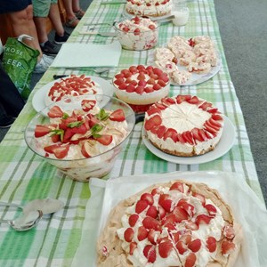 Ladies' Day Deserts