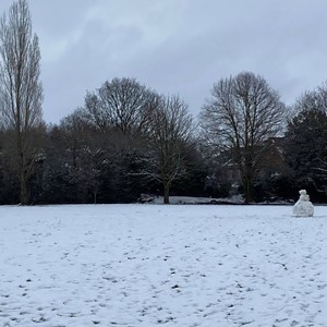 Southons Field in the snow