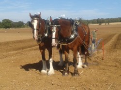 Annual ploughing match