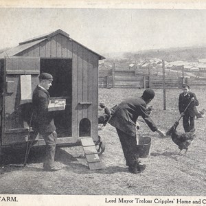 8. The Poultry Farm – Postmarked 22nd July 1910