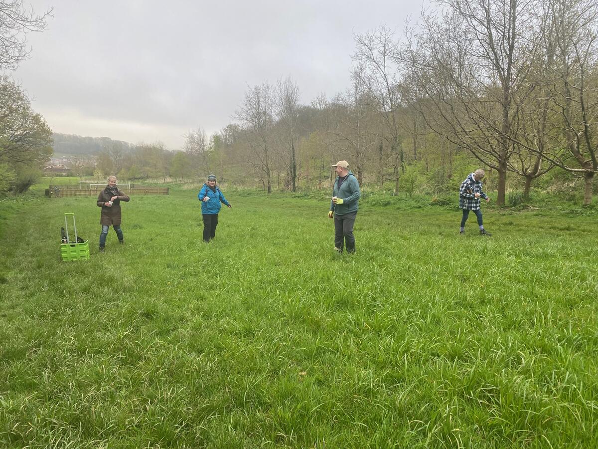 1 kilo of wildflower seed used to create new meadow area.