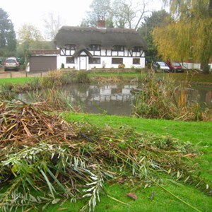 The pond after excess plant growth has been removed