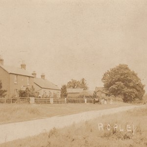 Ropley Dene (Rose Cottage on the left) c1900