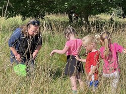 Bug hunting