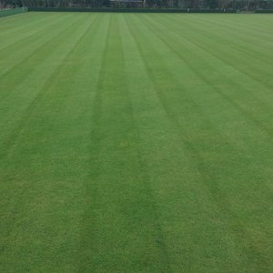 The first cut .Getting ready for the Open Day on 20th April 2024
