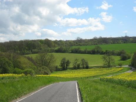 Shoulder of Mutton Shaw on the left, Elliston Bottom and Red Wood 28th April 2012