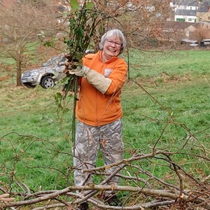 Cathy Harvey