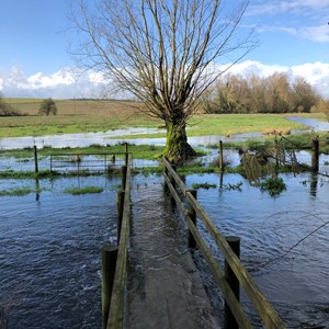 Flooded Bridge by Sarah Humphreys