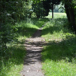 Bleasby Community Website Walking & Countryside Group
