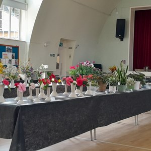Kingswood Walton & Tadworth Horticultural Society Shows