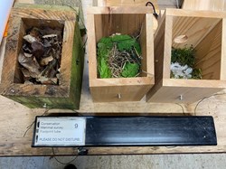The Allington Hillbillies Nature Club