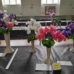 sweet peas early summer show 2022