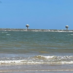Kittiwake hotels, built to encourage them out of town