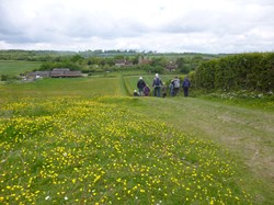 Luddesdown & District Rights of Way Group Walking in Luddesdown