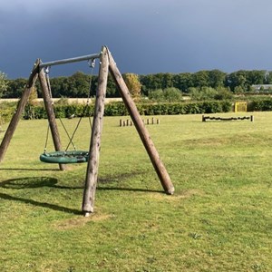 Basket swing