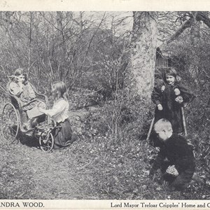 Queen Alexandra Wood ~ Postmarked  27.02.1911