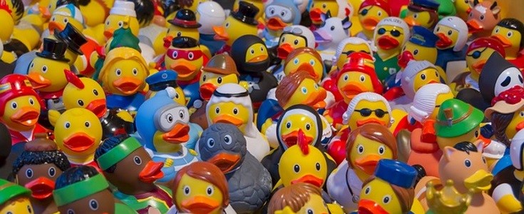 Bishopstoke Parish Council Duck Races Bishopstoke Parish Council Duck Races