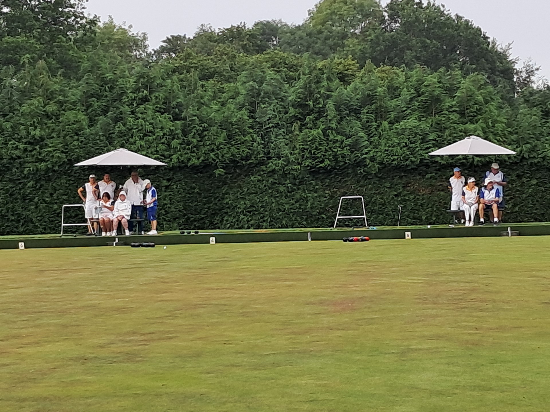 Haywards Heath & Beech Hurst Bowls Club Documents