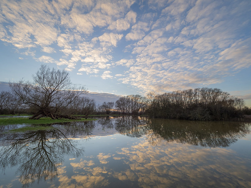 Stadhampton Flood Meadows