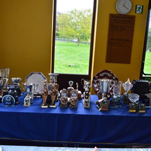 Lots of silverware