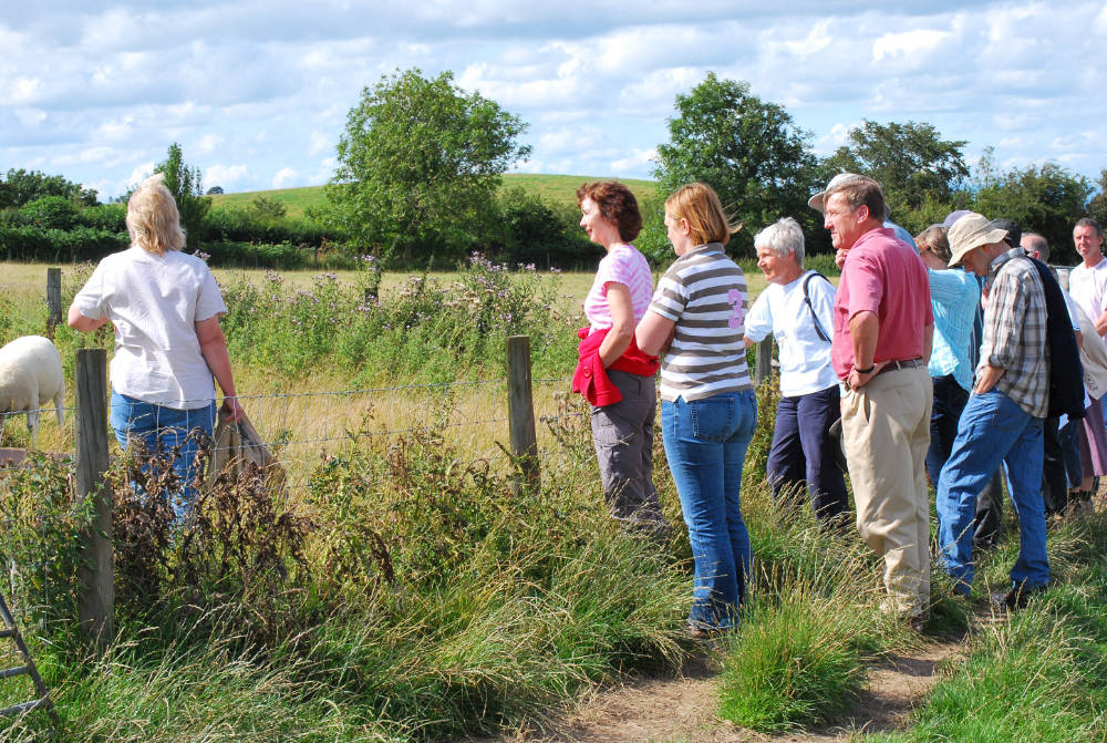 A farm visit to Pant Glas