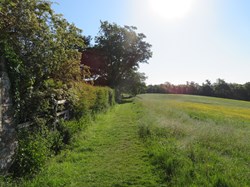 Path behind the big houses, Seend
