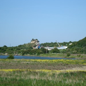 Thameside Terminal from Cliffe Pools